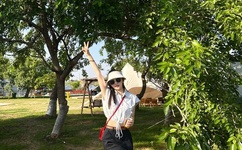 同城约战APP网站